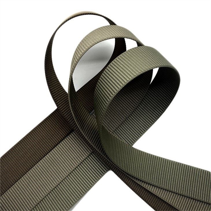 2 Inch Polyester Webbing