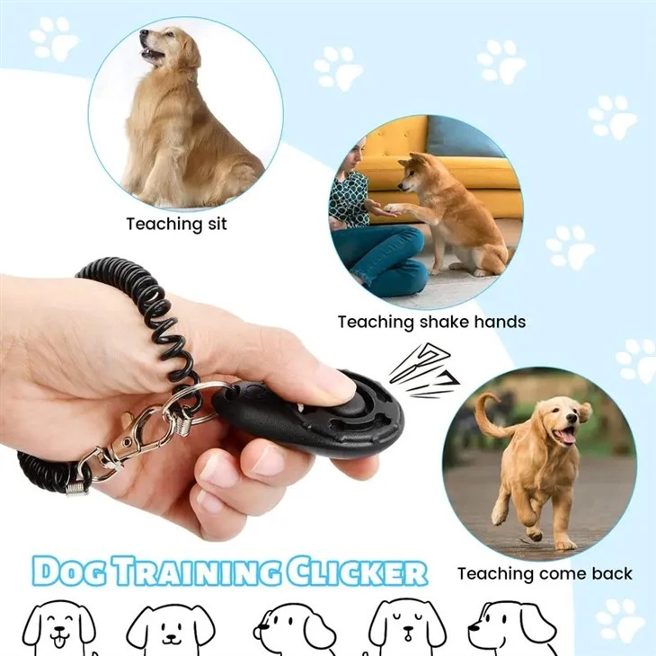 dog training pouch bag